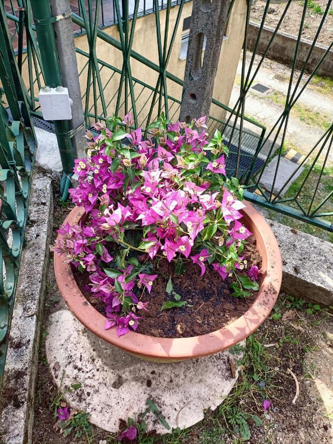 Da Ange E Bru Villa Sestri Levante Luaran gambar